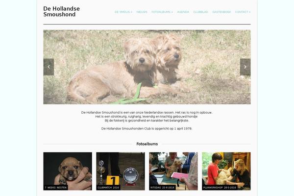 Site using My Custom CSS plugin