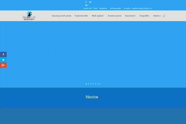 Divi Child theme site design template sample