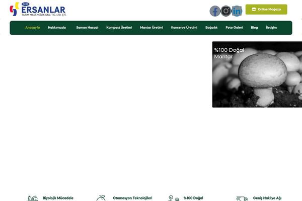 smsersanlar.com site used Freshio-child
