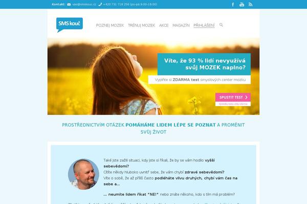 Site using Wise Chat plugin