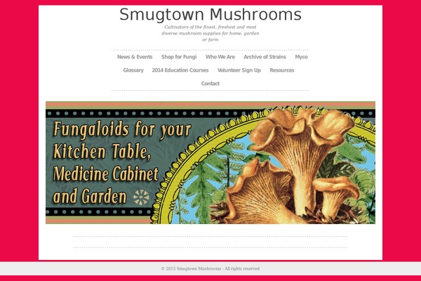 Photolistic theme site design template sample