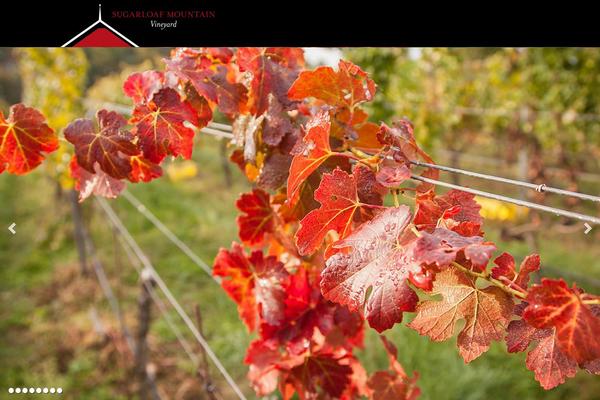 smvwinery.com site used Sugarloafmountain