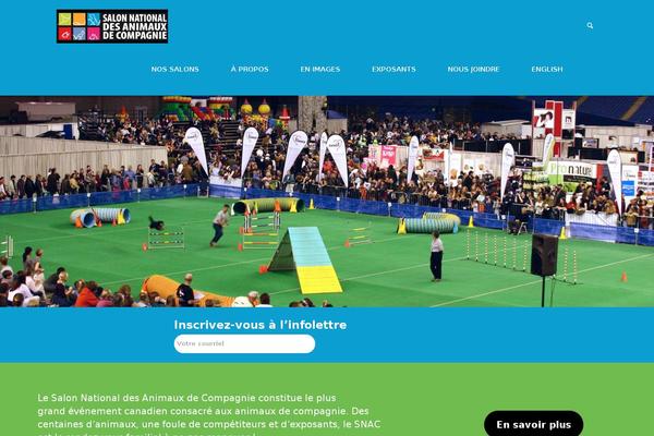 Site using Mc4wp-premium plugin