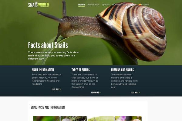 Fusion-child theme site design template sample