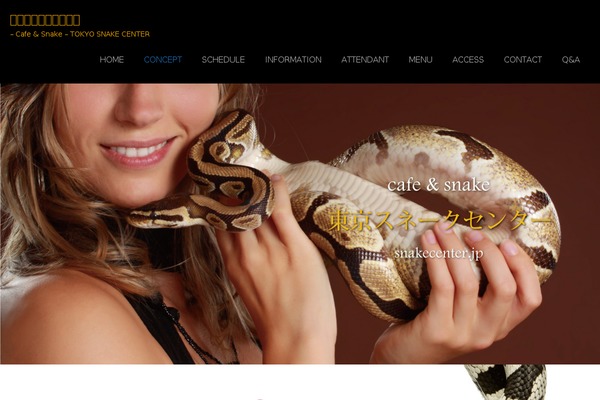 Businesspress theme site design template sample