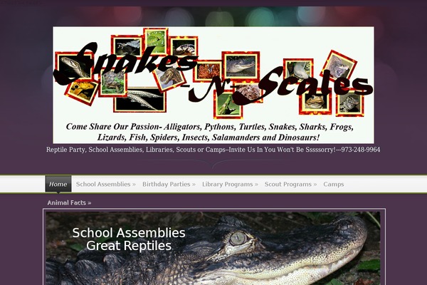 Magnificent theme site design template sample