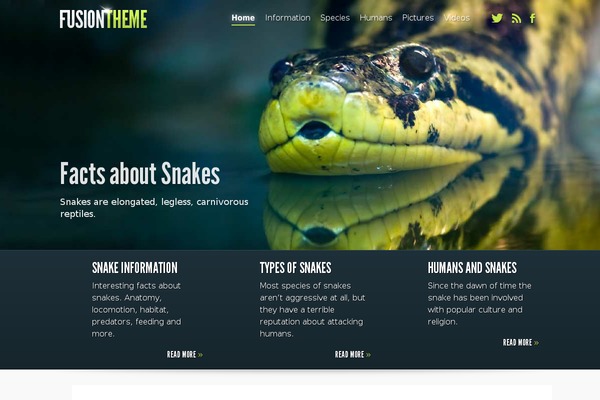 Fusion theme site design template sample