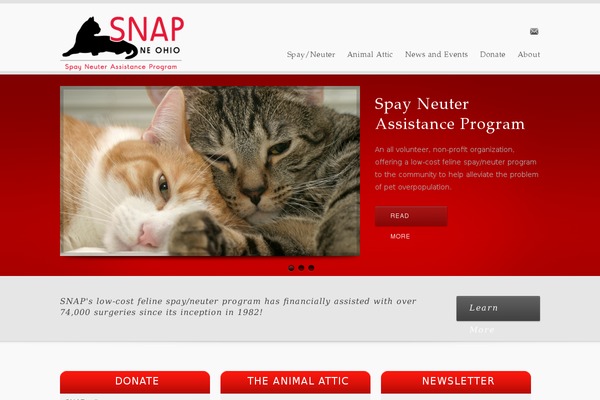 inFocus theme site design template sample