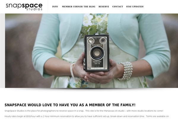 Willow theme site design template sample