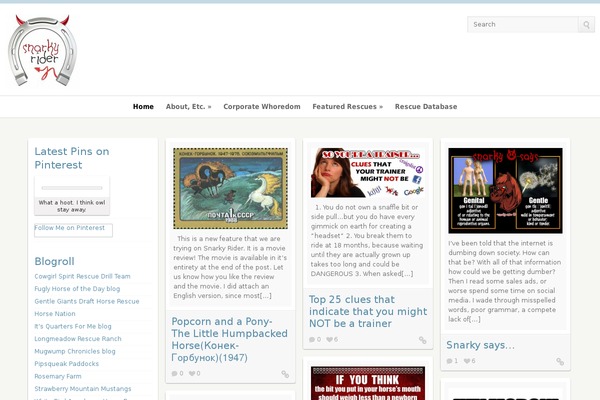 Wp_pinfinity5-v1.5.1 theme site design template sample