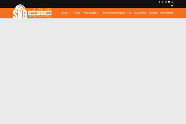 Oxigeno theme site design template sample