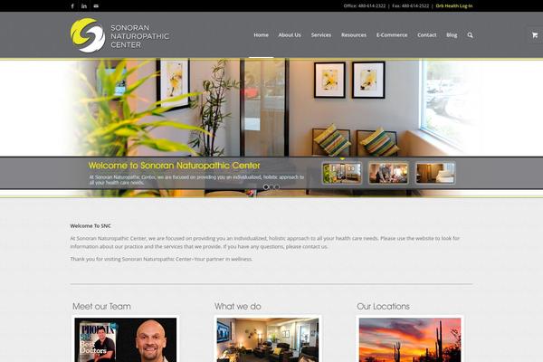 Enfold theme site design template sample