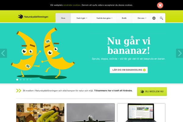 Site using Dave's WordPress Live Search plugin