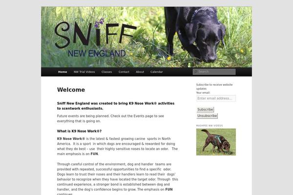 Site using WordPress Button Plugin MaxButtons plugin