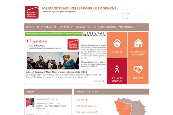 snl theme websites examples