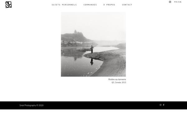 Amedeo theme site design template sample