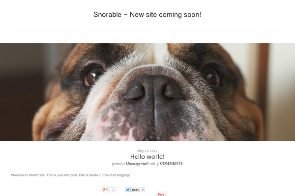 Dorado-blog theme site design template sample