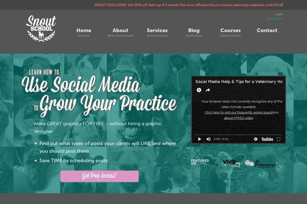 Site using Popups-for-divi plugin