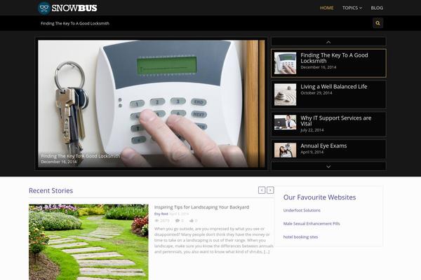 Truemag theme site design template sample
