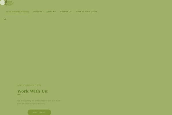 WordPress website example screenshot