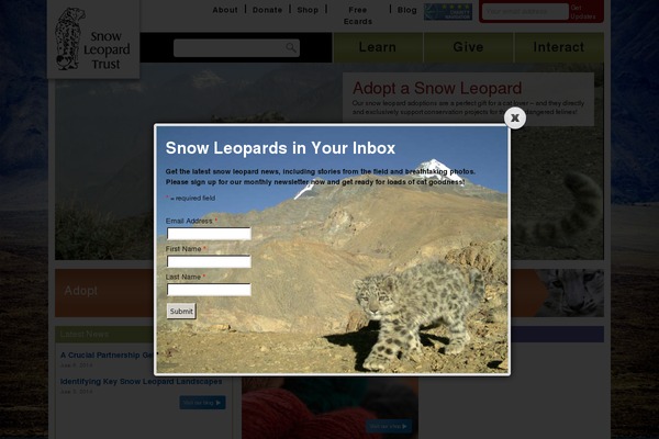 Site using Search & Filter plugin
