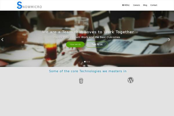 snowmicro.com site used Snowmicro_website