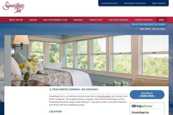 notchnet-responsive theme websites examples