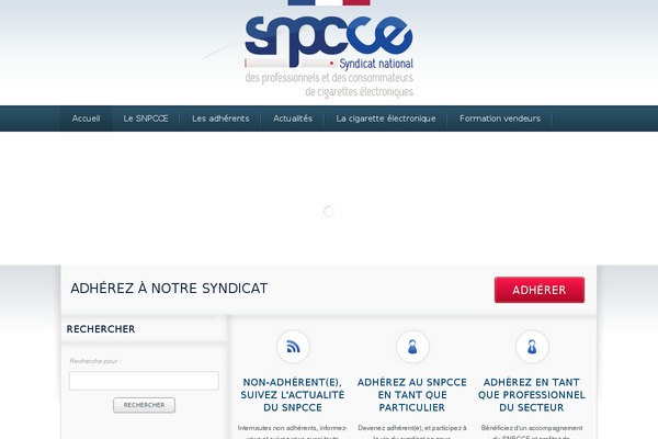 The-cause theme site design template sample