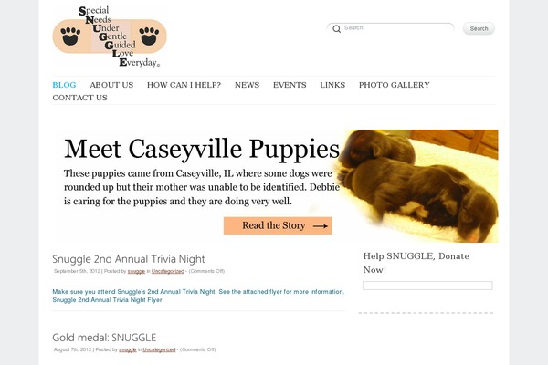 Delicate theme site design template sample