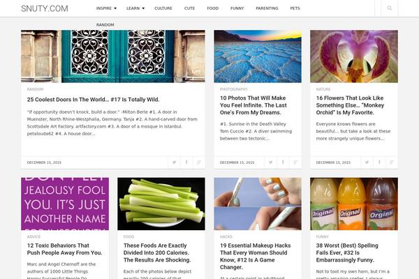 Enpine theme site design template sample