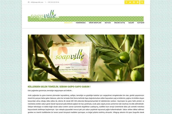 Sarraty theme site design template sample