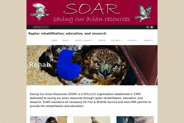 Minamaze theme site design template sample