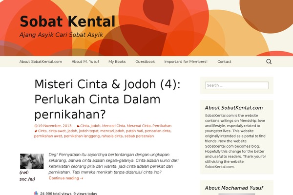 Twenty Thirteen theme site design template sample