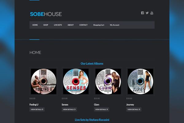 Wp_dubstep5 theme site design template sample