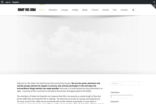 Bazar theme site design template sample
