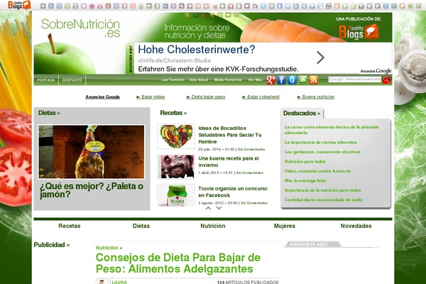 Sahifa theme site design template sample