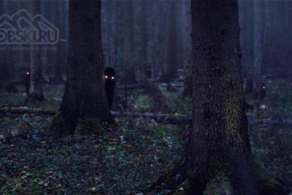 Colormag-pro theme site design template sample