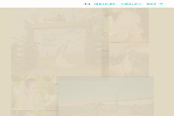 Photography theme site design template sample