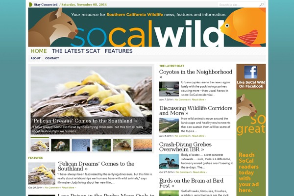 Advanced Newspaper theme site design template sample