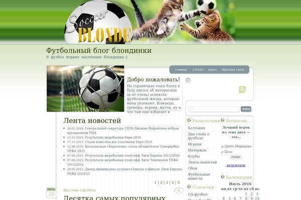 Site using Flash Video Player plugin