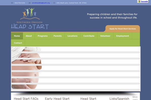 Incare theme site design template sample