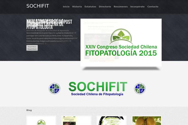Rolex theme site design template sample