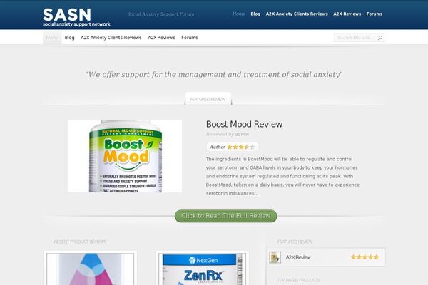 InReview theme site design template sample
