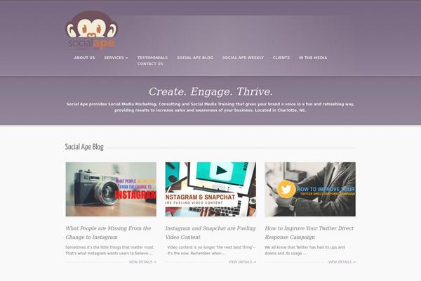 socialapemarketing.com site used Designvillewp