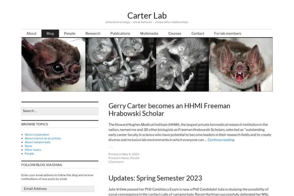 Site using Custom-fonts plugin