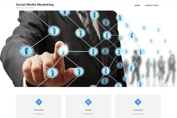 Wellington theme site design template sample