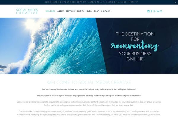 Site using Basic Instagram Widget plugin