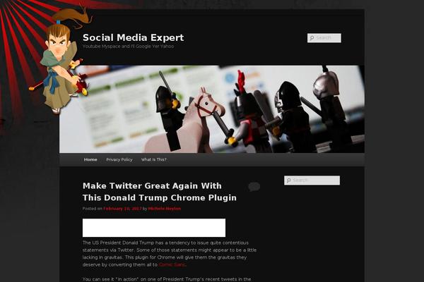 socialmediaexpert.ie site used Sme