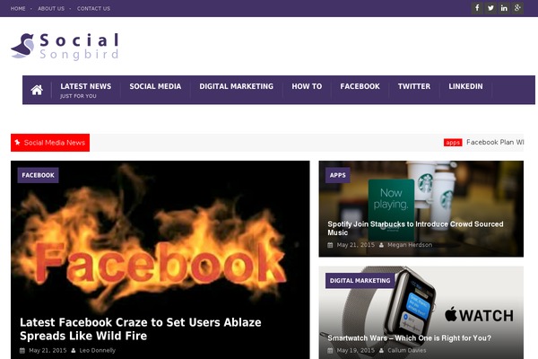 Bernate theme websites examples