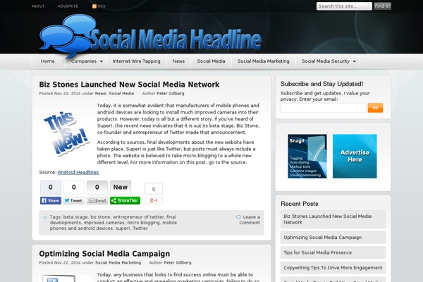 Function theme site design template sample